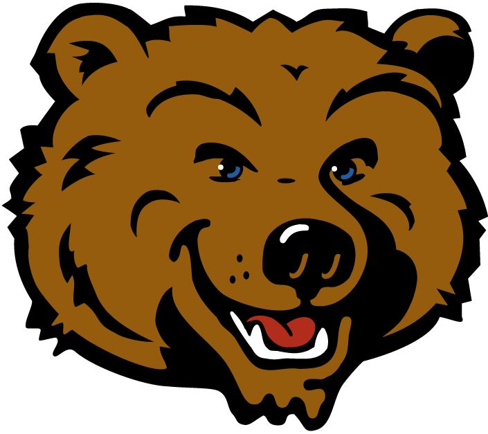 UCLA Bruins 2004-Pres Mascot Logo v3 DIY iron on transfer (heat transfer)